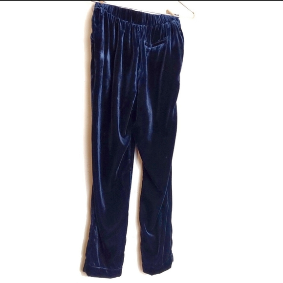 ANTHRO X Kachel Navy Velvet Pants 4 - Picture 6 of 8